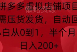 2024拼多多虚拟店铺运营教程 小白零成本从0到1实操指南