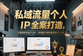 私域流量个人IP全案打造教程 从定位到变现全流程实操教学
