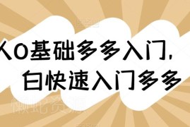 0基础拼多多开店入门教程 纯小白快速上手全流程运营指南