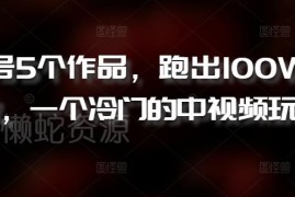 新号发5个作品破100万播放 冷门日本综艺解说中视频玩法解析