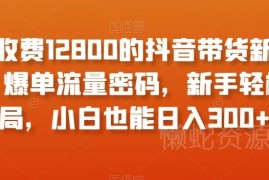 抖音带货新奇爆单玩法教程 新手零门槛入局可快速上手盈利