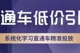 直通车低价引流系统化课程 精准投放全流程实操技巧详解