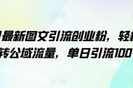 4月最新图文引流创业粉实操方法 无需露脸单日引流100+