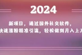 2024海外社媒涨粉引流项目 实操变现月入过万玩法解析