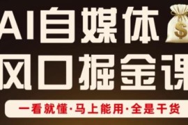 AI自媒体风口掘金实操课 零基础低粉涨粉变现全链路教学