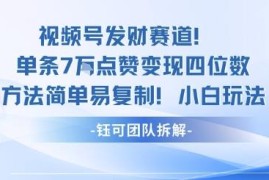 视频号高变现热门赛道玩法 单条7W赞变现四位数小白易复制