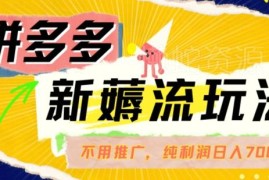 2024拼多多无付费推广纯自然流玩法 差异化选品零成本赚收益
