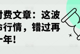 2024年A股改命牛市行情解析 普通投资者实操交易策略干货分享