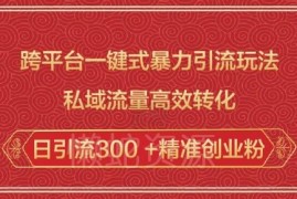 2025跨平台一键引流实操方法 私域高效转化日引300+精准创业粉