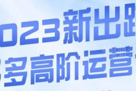 拼多多高阶运营实操课程 3大核心玩法助力打造爆款店铺