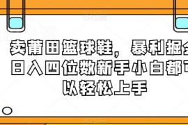 莆田篮球鞋售卖盈利项目解析 新手易上手的低门槛实操教程
