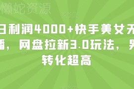 快手美女无人挂播网盘拉新3.0玩法 男粉高转化实操收益详解
