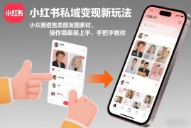 小红书私域变现实操玩法 小众赛道售卖朋友圈素材入门指南