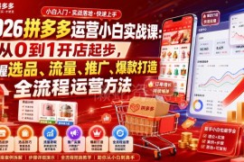 2026拼多多小白运营实战课 从0到1掌握全流程开店运营方法
