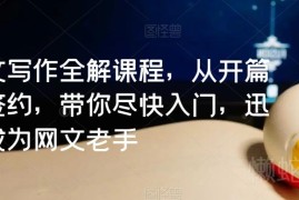 网文写作全解课程 从入门到签约全阶段写作技巧详解