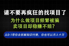 找项目容易被割韭菜？卖项目盈利逻辑与实操玩法全解析