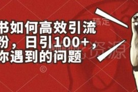 小红书高效引流创业粉实操指南 日引100+常见问题全解析