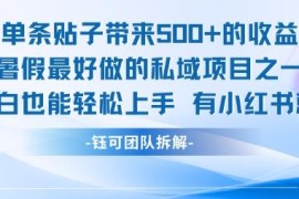 适合暑期做的低门槛私域项目 持有小红书账号小白即可赚收益