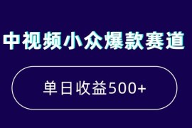 中视频小众爆款赛道玩法解析 新手可快速上手涨粉获收益