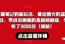 零成本卖学霸笔记高利润副业玩法 刚需长久可做项目实操指南