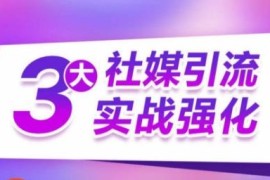 海外三大社媒引流实操教程 精准获客实现订单销售额翻倍增长