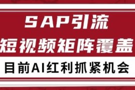 小红书抖音SAP赛道引流获客教程 自动矩阵可日引精准客源200+