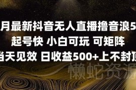 2025年5月最新抖音无人直播撸音浪单日500+实操教程