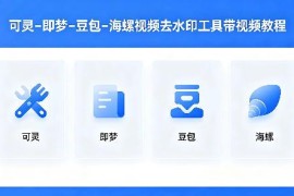 可灵即梦豆包海螺视频去水印工具 附使用教程多系统版本资源