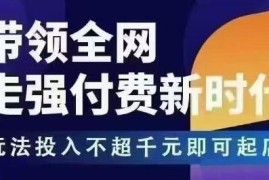 王校长拼多多无限活动流强付费玩法 千元投入即可低成本实操起店