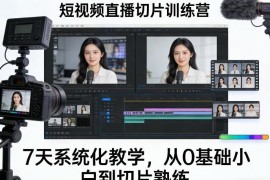 7天短视频直播切片系统训练营 0基础入门到熟练掌握全流程教学