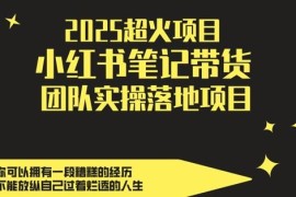 2025小红书笔记带货副业实操教程 团队落地玩法全流程解析