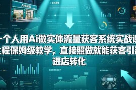 单人用AI做实体流量获客系统实战课 保姆级教学实现引流进店转化