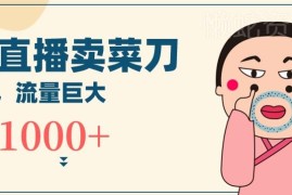 冷门品无人直播新玩法分享 直播卖菜刀日入千元项目揭秘