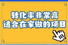 小红书虚拟电商入门到精通教程 附视频课程及配套交付手册