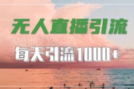 抖音快手视频号通用无人直播玩法 精准引流创业粉实操指南
