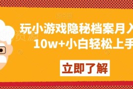 小游戏《隐秘的档案》赚钱项目攻略 零基础可上手月入数万