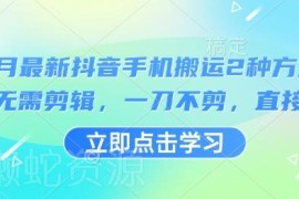 2025年3月抖音手机搬运实用方法 无需剪辑可过抖+的两种技巧
