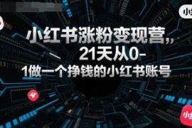 21天小红书涨粉变现营教程 从0到1打造可盈利的小红书账号