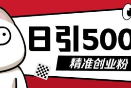 2024抖音引流创业粉实操方法 低门槛短视频制作小白可上手