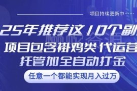 2025年10个热门副业项目汇总 含挂机代运营全自动打金等类型