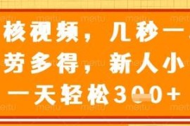 正规视频审核兼职项目详解 几秒一单多劳多得新手易上手