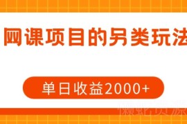 网课项目低门槛另类实操玩法拆解 单人单日可实现2000+收益