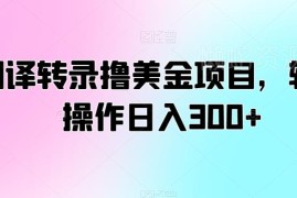 翻译转录类海外美金项目实操教程 新手操作可实现日入300+