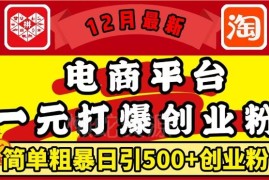 2024年12月电商1元引流玩法 日引500+精准创业粉实操教程