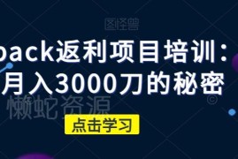 cashback返利项目实操培训 新手可落地月入3000刀的完整玩法