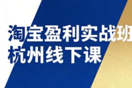 12月杭州淘宝盈利实战线下课 学习SOP流程及12门核心运营技术