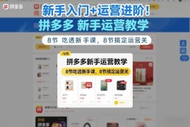 拼多多从新手入门到运营进阶全教程 16节干货课覆盖运营全流程