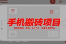 2025手机搬砖赚钱项目玩法 苹果安卓通用新手零门槛操作教程