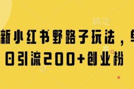 小红书引流创业粉实操玩法 合规操作单日可获取200+精准用户
