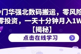 华强北冷门数码搬运项目解析 零投资低耗时新手月入过万攻略